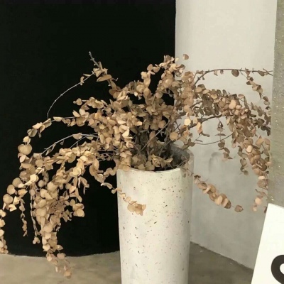 兽设科幻风格创作兽圈社群